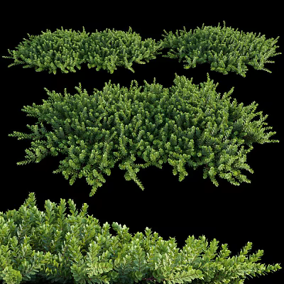 Lush Green Bushes With Various Shapes For Natural Garden Landscaping 3d model