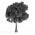 The Modern Tree 3d model