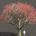 Large Tree With Vibrant Red Leaves Thick Branches And Human Figure Model 3d model
