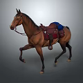 Brown Horse With Red Saddle And Blue Blanket Walking In Motion