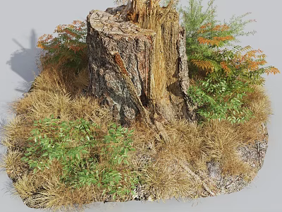 Old Tree Stump in Natural Environment With Green and Orange Leaves and Dry Grass 3d model
