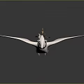 Fantasy Rider With Cloak Riding On White Bird 3D Model Design