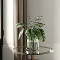 Transparent Glass Vase With Monstera Leaves on Round Glass Table Indoor Natural Light