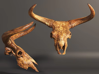 Antlered Animal Skull Wall Decor Pieces For Rustic Home Interior Design 3d model