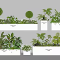 Various Green Plants Ferns and White Flowers in White Rectangular Planters 3d model