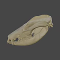 Detailed Animal Skull Skeleton With Visible Teeth And Bone Structure On Dark Background 3d model