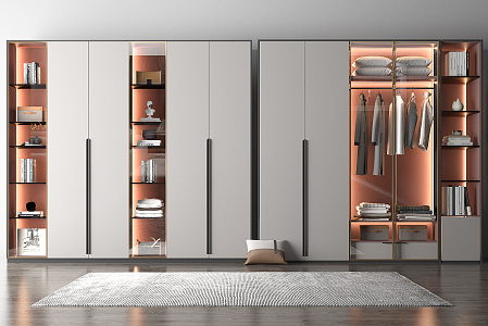 Modern Wardrobe Bookcase 3d model