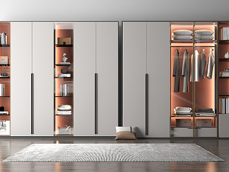 Modern Wardrobe Bookcase 3d model