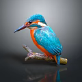 Vibrant Blue And Orange Kingfisher Perched On Tree Branch Against Dark Background