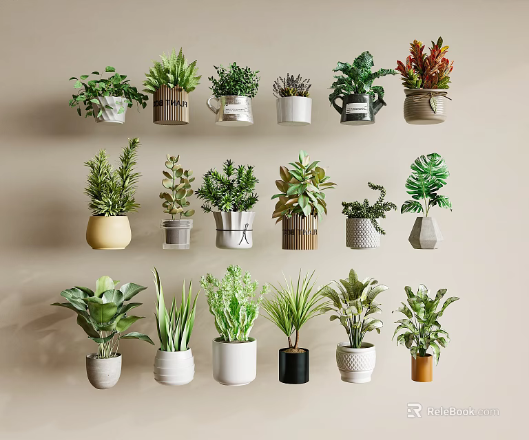 Stylish Modern Bonsai Potted Plants With Various Green Succulents And Decorative Planters 3d model 