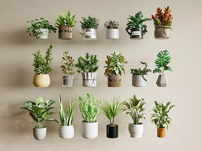 Stylish Modern Bonsai Potted Plants With Various Green Succulents And Decorative Planters 3d model