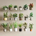 Stylish Modern Bonsai Potted Plants With Various Green Succulents And Decorative Planters