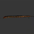 Black Centipede With Multiple Orange Legs And Long Segmented Body On Gray Background 3d model