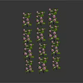 Fresh Pink Edible Fruits on Green Leafy Vines Naturally Grown