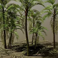 Palm Trees With Various Heights Featuring Green Leaves Trunks And Ground Shadows 3d model