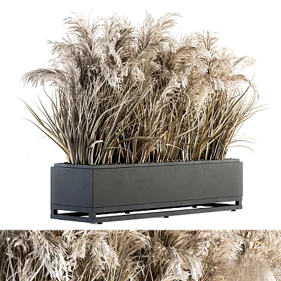 Poted reed plant 3d model