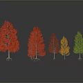Colorful Trees With Red Orange Green Foliage Arranged On Grey Background With Reflections