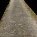 Road Infrastructure With Hexagonal Paving Stones And Moss Growth On Surface 3d model