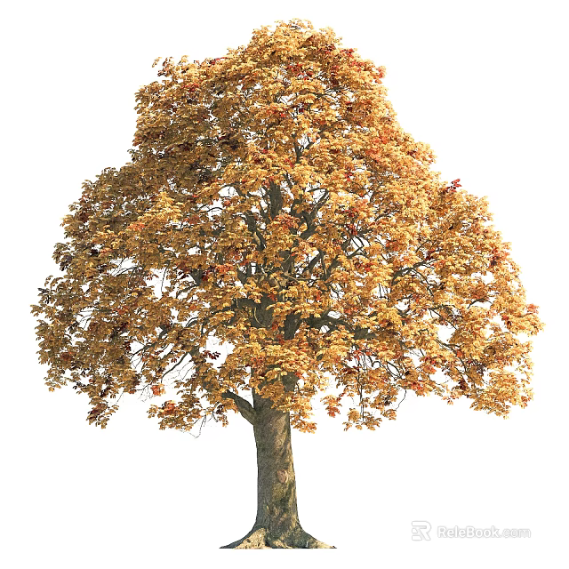 Tall Autumn Arbor With Golden Yellow Leaves Lush Canopy And Brown Trunk 3d model 