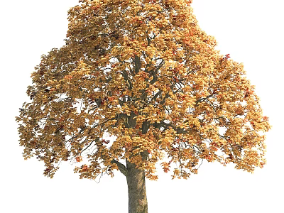 Tall Autumn Arbor With Golden Yellow Leaves Lush Canopy And Brown Trunk 3d model