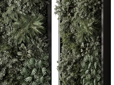 Double Sided Vertical Greenery Wall With Various Lush Tropical Plants 3d model