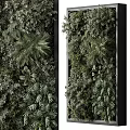 Double Sided Vertical Greenery Wall With Various Lush Tropical Plants 3d model