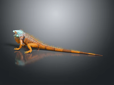 Vibrant Iguana With Blue Head And Orange Body On Smooth Reflective Surface 3d model