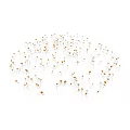 Small Green Plants With Slender Stems And Yellow Tips In Circular Cluster On White Background