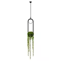 Decorative Pendant Light With Black Frame And Hanging Green Plants