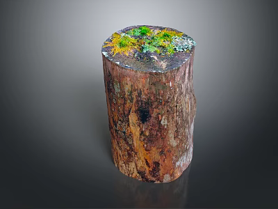 Wood And Stone Decorative Tree Stump With Green Moss Small Plants And Natural Elements 3d model