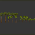Diverse Green Plants with Tall and Short Trees Including Palms and Tropical Varieties