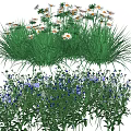 Vibrant Mixed Flowers With White Blooms Purple Petals And Lush Green Grass