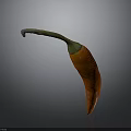 Fresh Orange Chili Pepper With Green Stem And Curved Shape On Gray Background