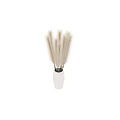 White Striped Vase with Fluffy White Pampas Grass for Home Decor