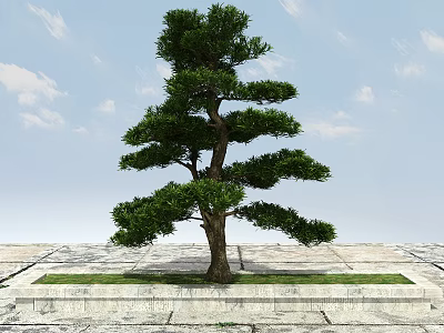 Arbor With Green Leaves Thick Trunk On Stone Pavement Grass Area Under Blue Sky 3d model