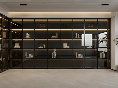 Modern Bookcase with Glass Doors Layered Shelves Built-in Lighting and Displayed Books and Decor Items 3d model