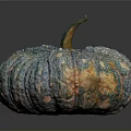Unique Vibrant Colorful Textured Pumpkin With Blue Orange Green Speckled Rind