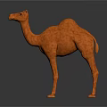 Orange Camel 3D Model With Textured Surface And Gray Background Reflection 3d model