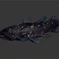 Distinctive Purple Spotted Fish With Blue Fins And Shiny Scales