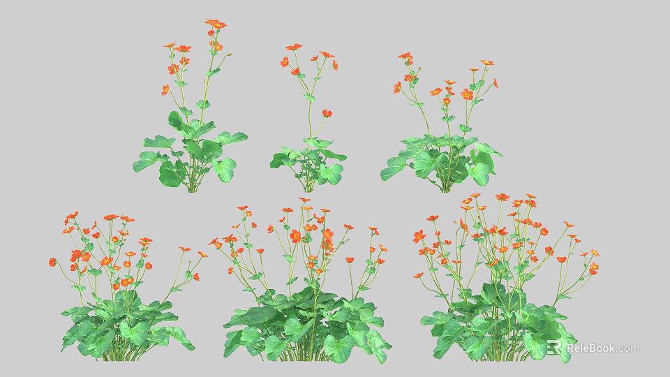 Colorful Floral Plants With Orange Flowers And Green Leaves In Various Forms 3d model 
