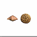 Delicious Freshly Baked Golden Croissant And Chewy Chocolate Chip Cookie Snacks