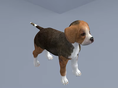 Cute Small Puppy With Brown White Black Fur Standing In 3D Rendering 3d model
