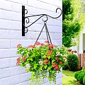 Hanging Vine Plants In Flower Pots On Wrought Iron Hooks White Brick Wall