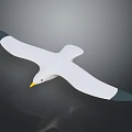 White Seagull With Black Wing Tips And Yellow Beak Flying Against Gray Background