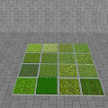 Different Types Of Green Grass And Colorful Flowers In Square Garden Sections