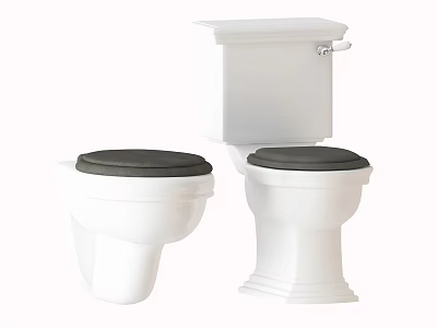 Modern White Toilet With Black Seat Wall Hung And Floor Mounted Styles 3d model