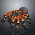 Realistic Tarantula Spider With Orange And Black Striped Legs On Dark Background