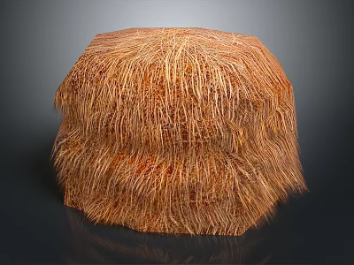 Rustic Hay Bale With Natural Straw Texture On Dark Background And Round Shape 3d model
