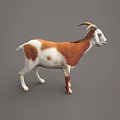 Sorry, the key subject in the picture is a goat (a mammal), not a reptile. It's impossible to generate a title with "reptile" as the main subject based on the picture's key information. Please provide a picture containing reptiles for further assistance.