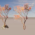Two Arbor Trees with Red and Orange Leaves Curved Trunks and Stone Base